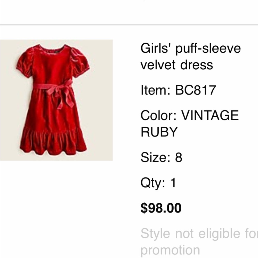NWT Jcrew Girls puff sleeve velvet dress